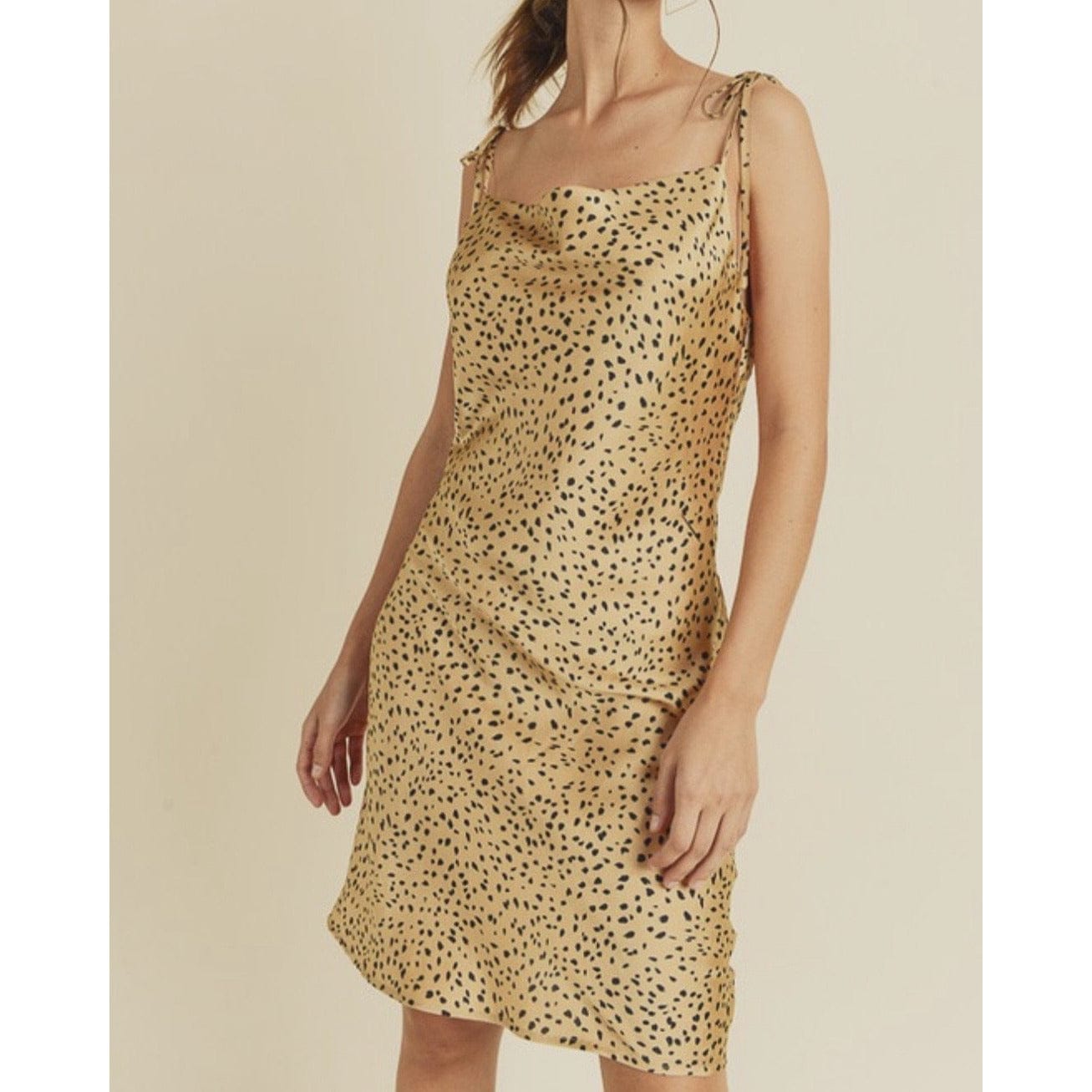 Valentina Spring Dress