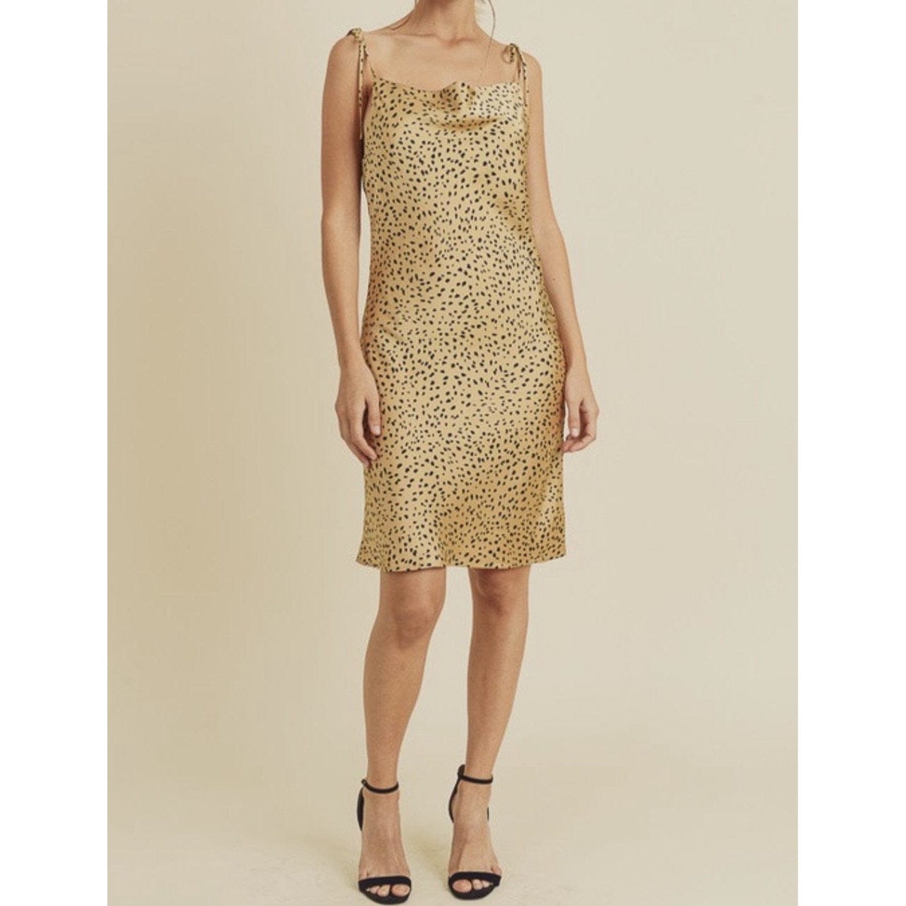 Valentina Spring Dress